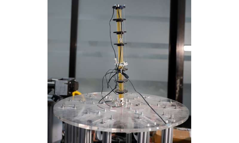 柔らかいロボットの新しい動き