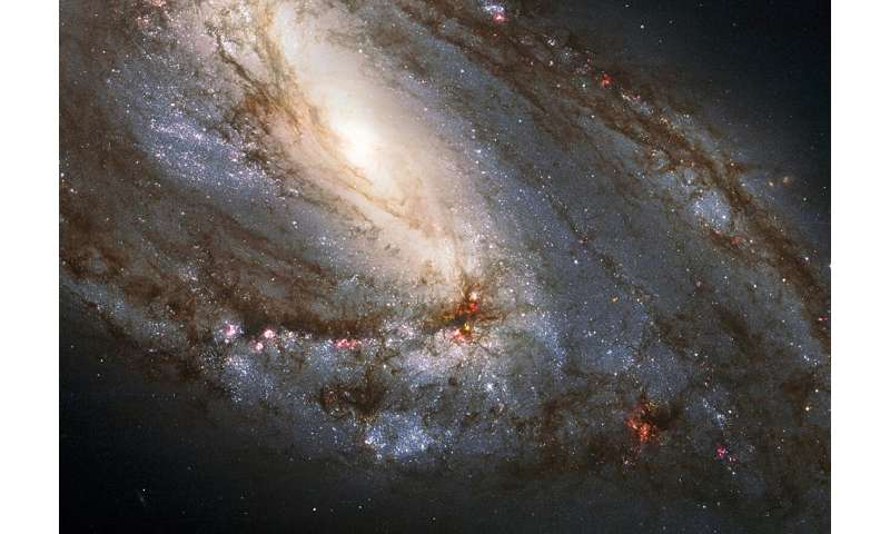 4月のしし座の魅力