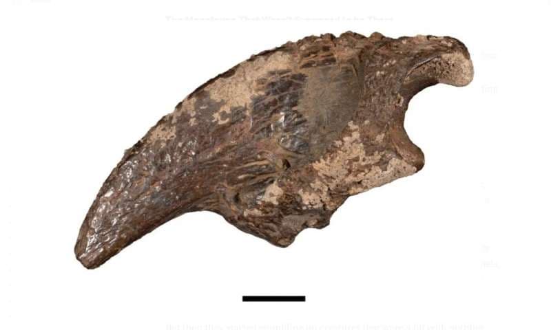 氷河期の巨大生物発見