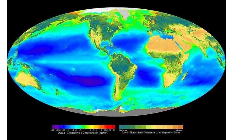植物の色で生命を知る