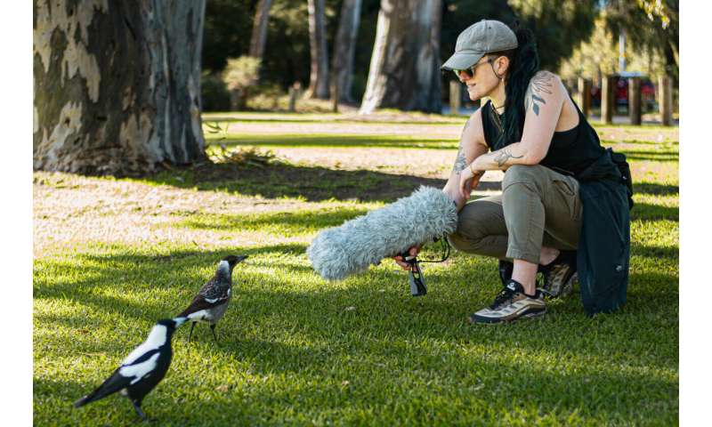 カラス科の鳥の声の秘密