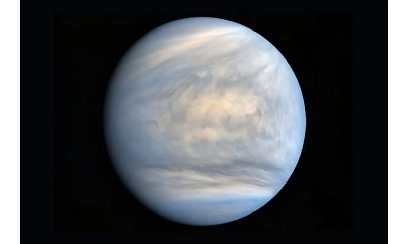 金星の雲に生命の可能性