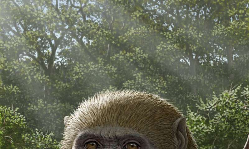 人類の起源が変わる発見