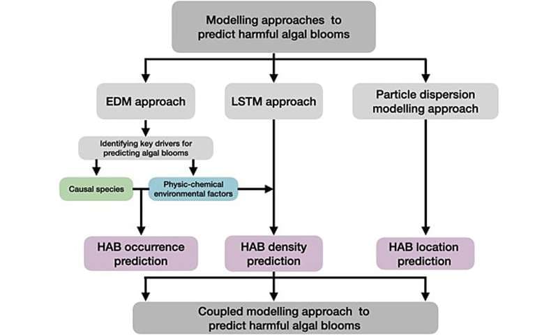 プランクトンが影響を与える予測
