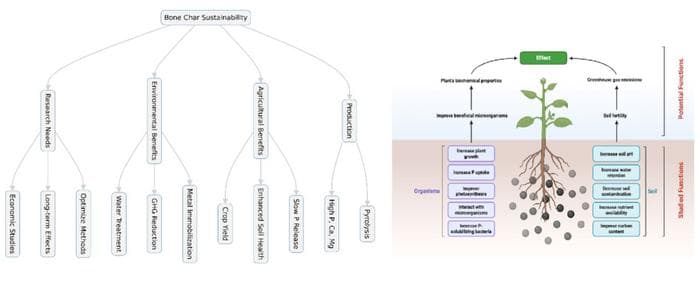 屠殺場の廃棄物を肥料に