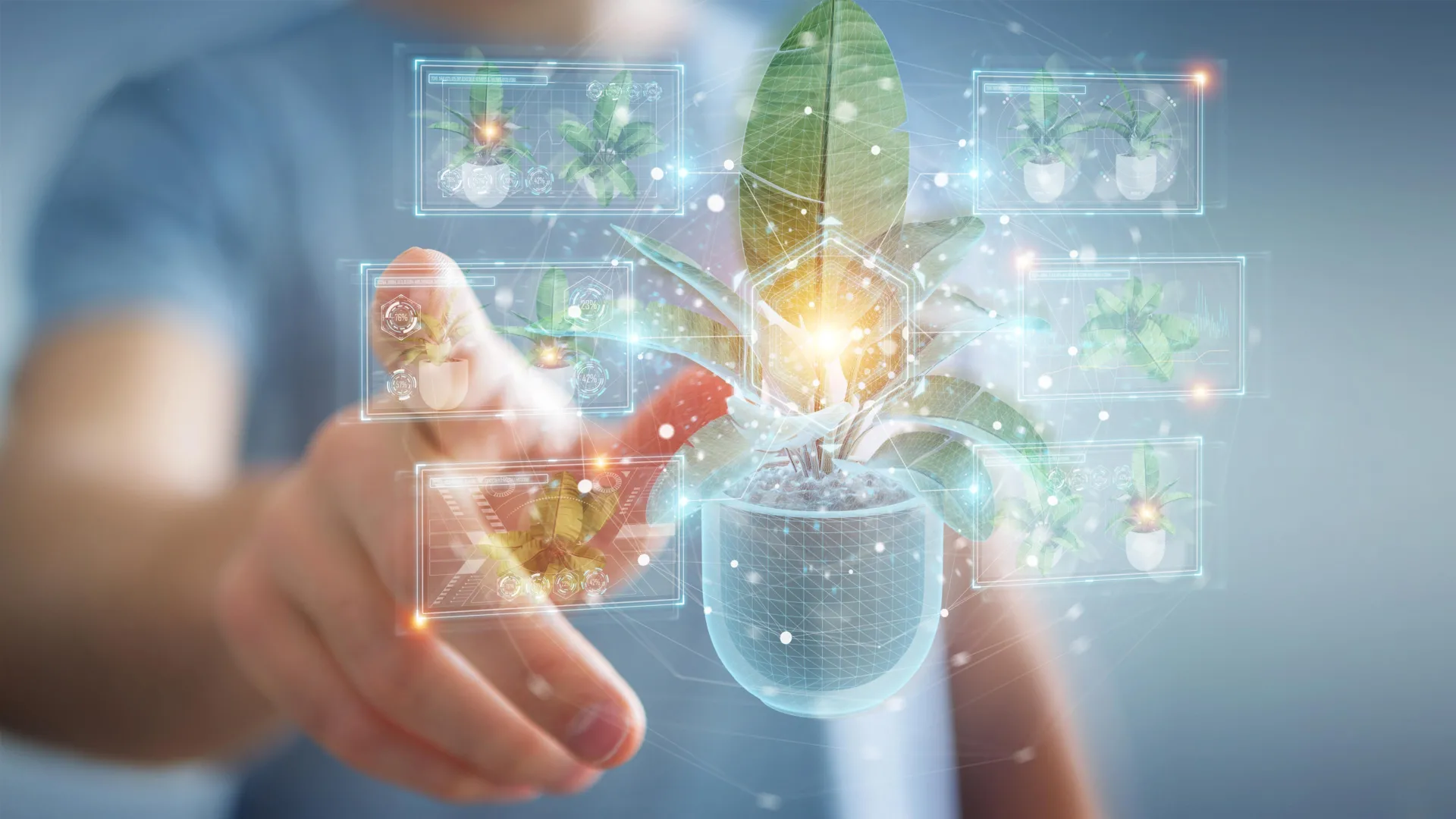 植物の秘密の化学兵器