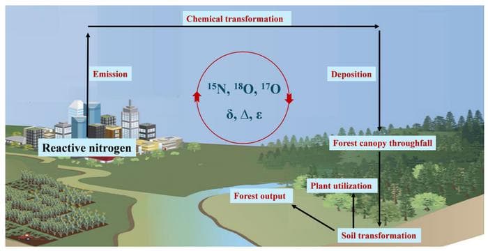 新しい道具で窒素循環を探る