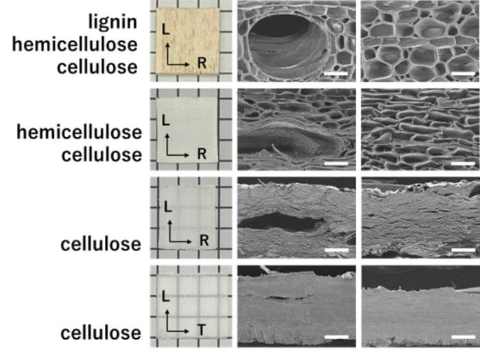 プラスチックフリーの木材