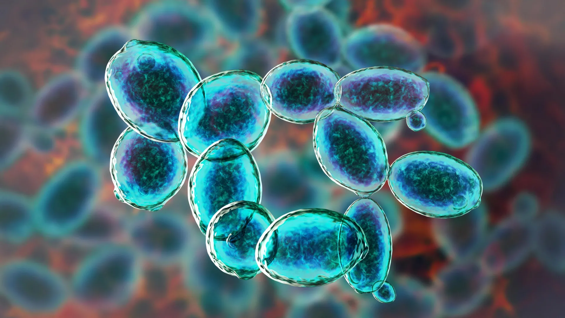 酵母が火星の条件に耐えた