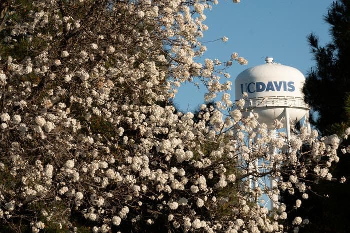 植物の賢いサイクル