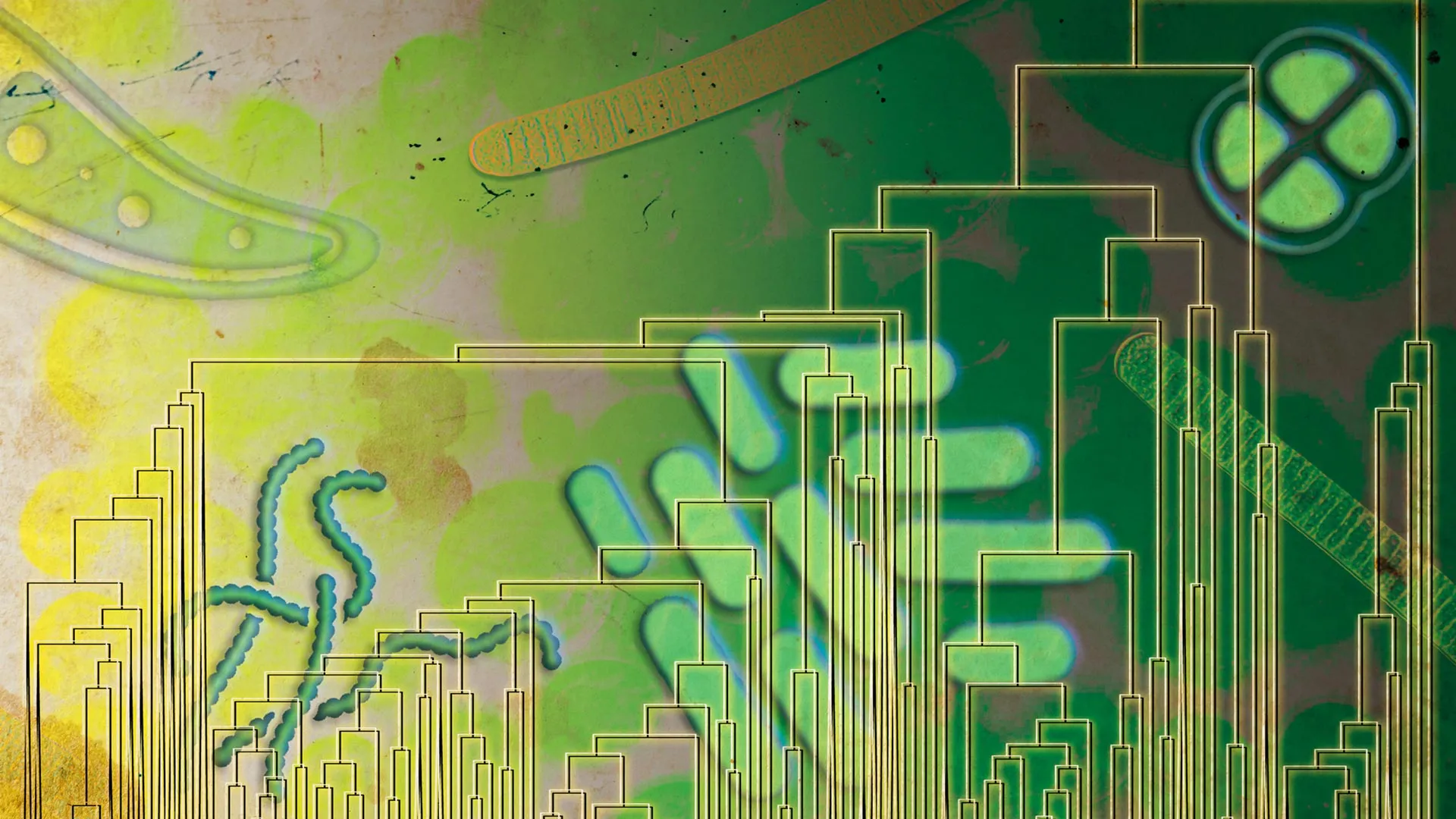 古代微生物と酸素の関係